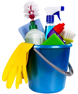 a bucket of cleaning supplies